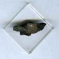 Calciomurmanite