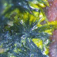 Ianthinite, Schoepite