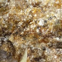 Tainiolite