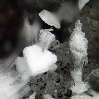 Lanthanite-(Ce)