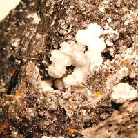 Faujasite-Na, Phillipsite-Na, Calcite
