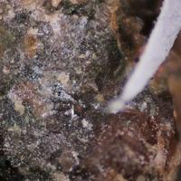 Baksanite, Andradite