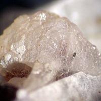 Calcioburbankite