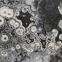 Carlfriesite, Quartz