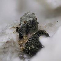 Gadolinite-(Y), Titanite, Biotite