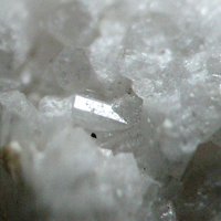 Nasonite
