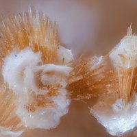 Ganophyllite, Sursassite