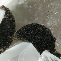 Rankachite