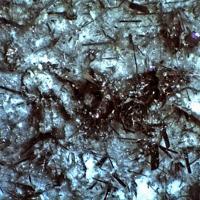 Cannizzarite
