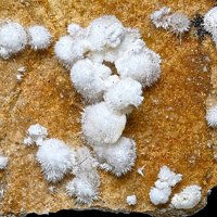 Ulexite