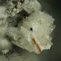 Umbite