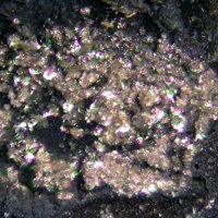 Ecdemite
