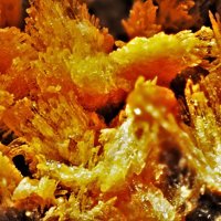 Carpholite