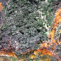 Bayldonite