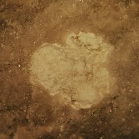 Ulexite