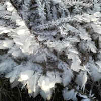 Ice