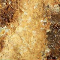Opal-AN, Autunite, Bassetite