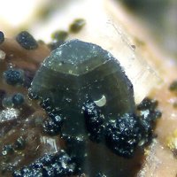 Gadolinite-(Y)