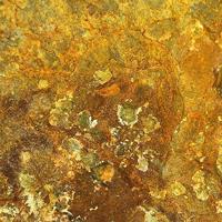 Abernathyite, Heinrichite