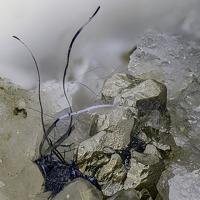 Cannizzarite, Pyrite