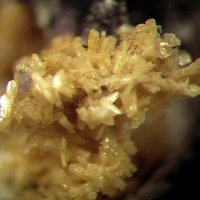 Jahnsite-(CaMnMn)