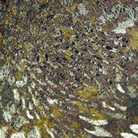 Talnakhite, Chalcopyrite, Galena