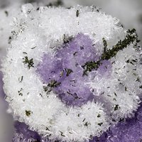 Dawsonite, Fluorite, Marcasite