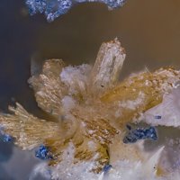 Jahnsite-(CaMnMg)