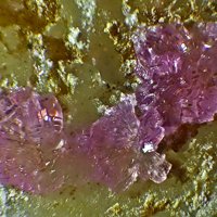 Sainfeldite