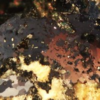 Nagyágite, Tellurium, Calaverite