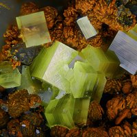 Uranospinite, Chamosite, Limonite