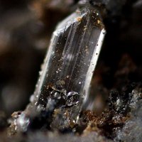 Palermoite