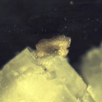 Cascandite