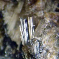 Kaliophilite
