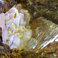 Quenstedtite