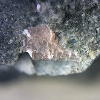 Lanthanite-(Nd)