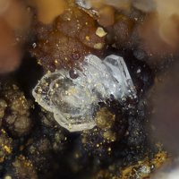 Lanthanite-(Ce)