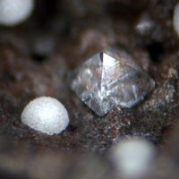 Faujasite-Ca, Phillipsite Subgroup
