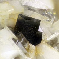 Gadolinite-(Ce), Albite, Microcline