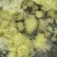 Bayleyite