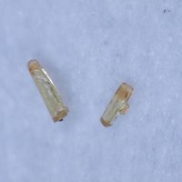 Jahnsite-(NaFeMg), Jahnsite-(CaMnMg), Jahnsite-(NaMnMg)
