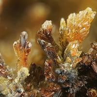 Badalovite