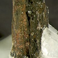 Rasvumite
