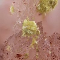 Carlhintzeite