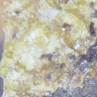 Urancalcarite