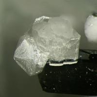 Calcioburbankite, Pectolite