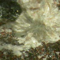 Laplandite-(Ce)