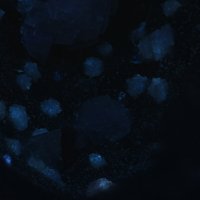 Garronite-Ca