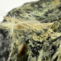 Carlosturanite