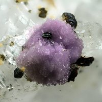 Cascandite